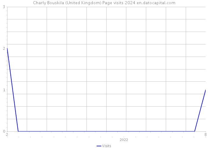 Charly Bouskila (United Kingdom) Page visits 2024 
