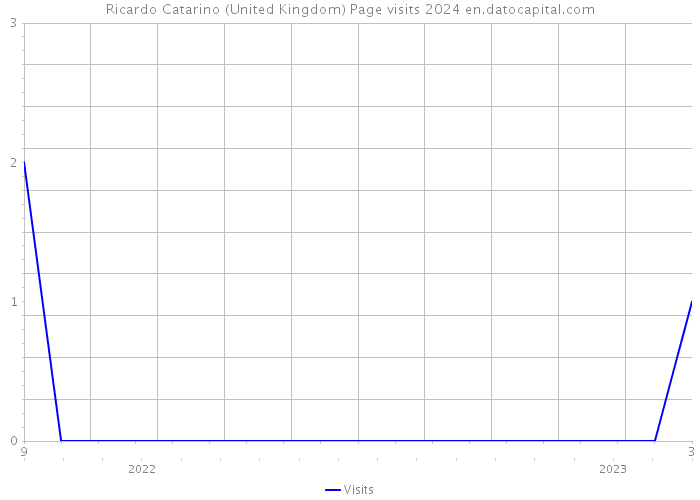 Ricardo Catarino (United Kingdom) Page visits 2024 