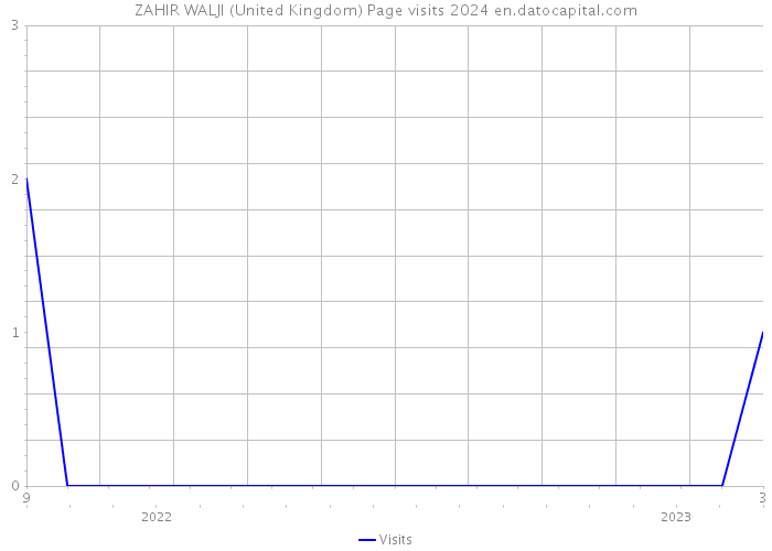 ZAHIR WALJI (United Kingdom) Page visits 2024 