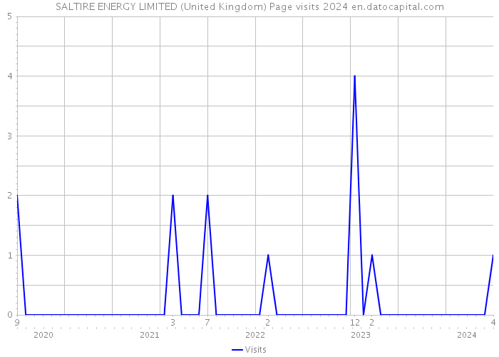 SALTIRE ENERGY LIMITED (United Kingdom) Page visits 2024 