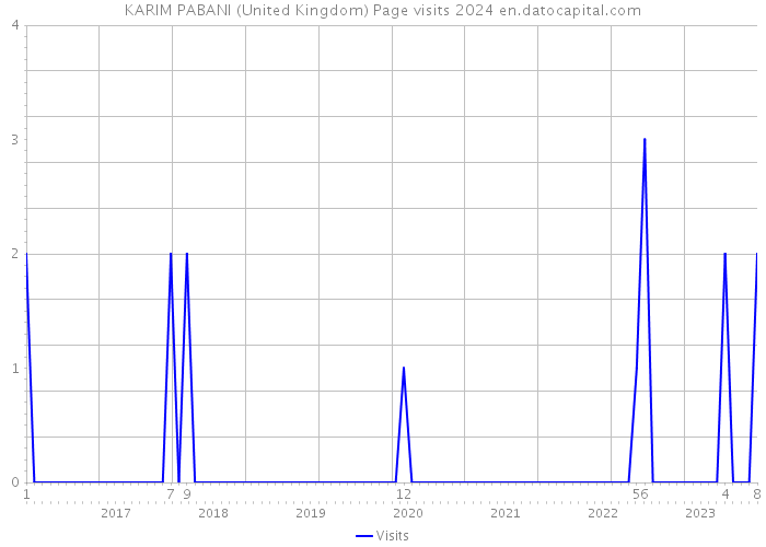KARIM PABANI (United Kingdom) Page visits 2024 