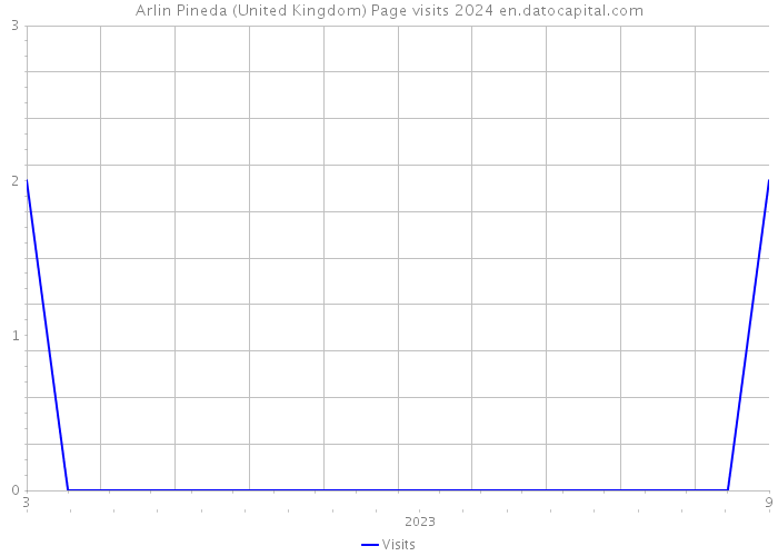 Arlin Pineda (United Kingdom) Page visits 2024 
