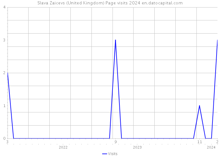 Slava Zaicevs (United Kingdom) Page visits 2024 