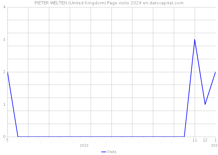 PIETER WELTEN (United Kingdom) Page visits 2024 