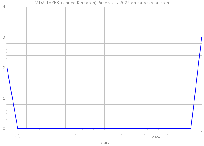 VIDA TAYEBI (United Kingdom) Page visits 2024 