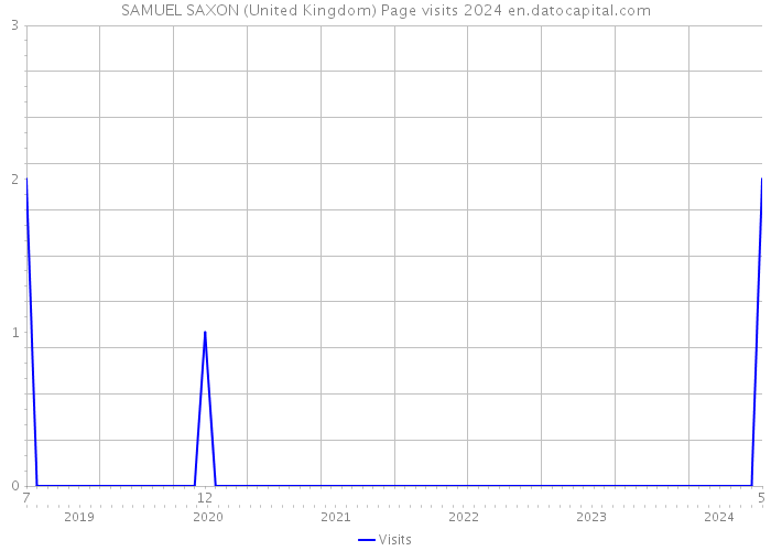 SAMUEL SAXON (United Kingdom) Page visits 2024 