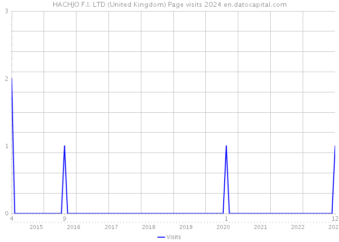 HACHJO F.I. LTD (United Kingdom) Page visits 2024 