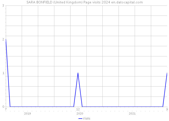 SARA BONFIELD (United Kingdom) Page visits 2024 