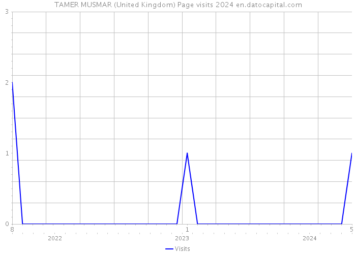 TAMER MUSMAR (United Kingdom) Page visits 2024 