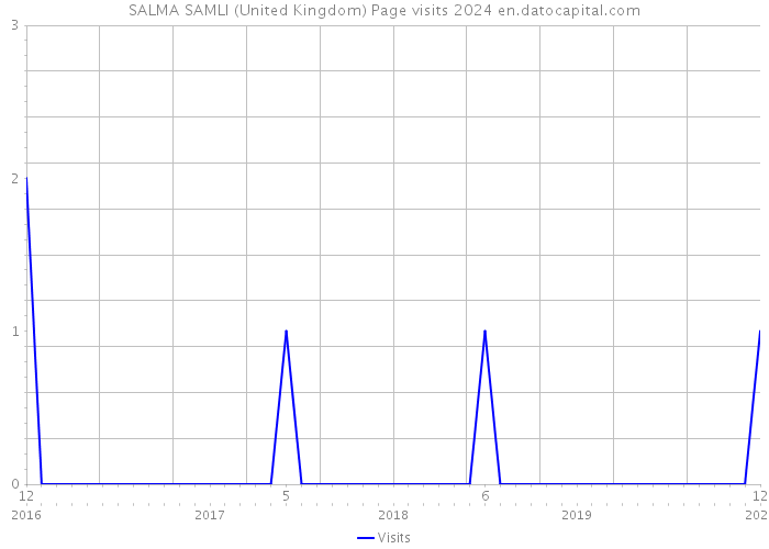 SALMA SAMLI (United Kingdom) Page visits 2024 