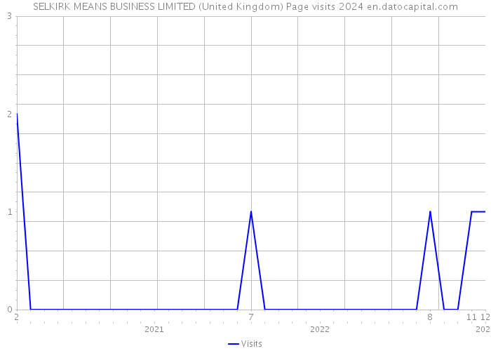 SELKIRK MEANS BUSINESS LIMITED (United Kingdom) Page visits 2024 