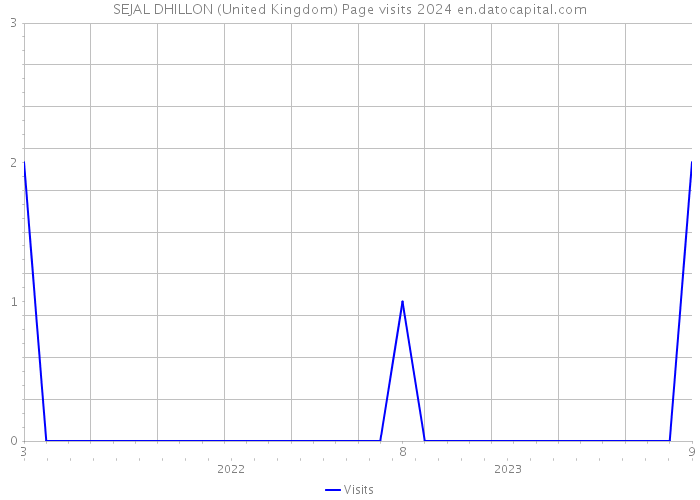 SEJAL DHILLON (United Kingdom) Page visits 2024 