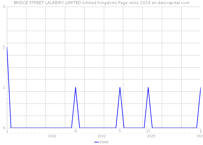 BRIDGE STREET LAUNDRY LIMITED (United Kingdom) Page visits 2024 