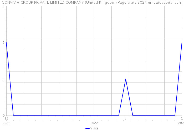 CONVIVIA GROUP PRIVATE LIMITED COMPANY (United Kingdom) Page visits 2024 