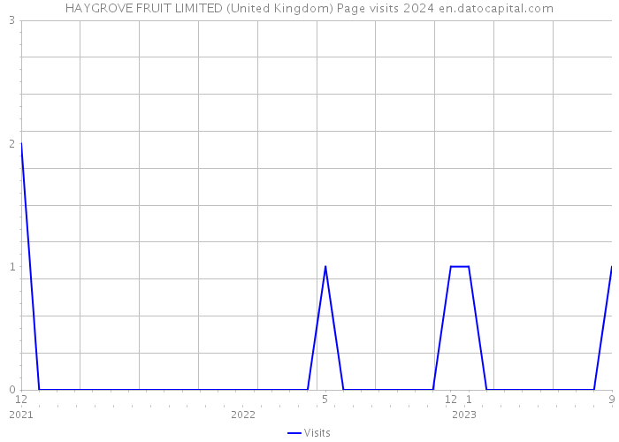 HAYGROVE FRUIT LIMITED (United Kingdom) Page visits 2024 