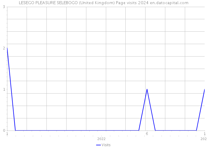 LESEGO PLEASURE SELEBOGO (United Kingdom) Page visits 2024 
