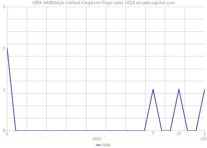 KEMI ARIBISALA (United Kingdom) Page visits 2024 