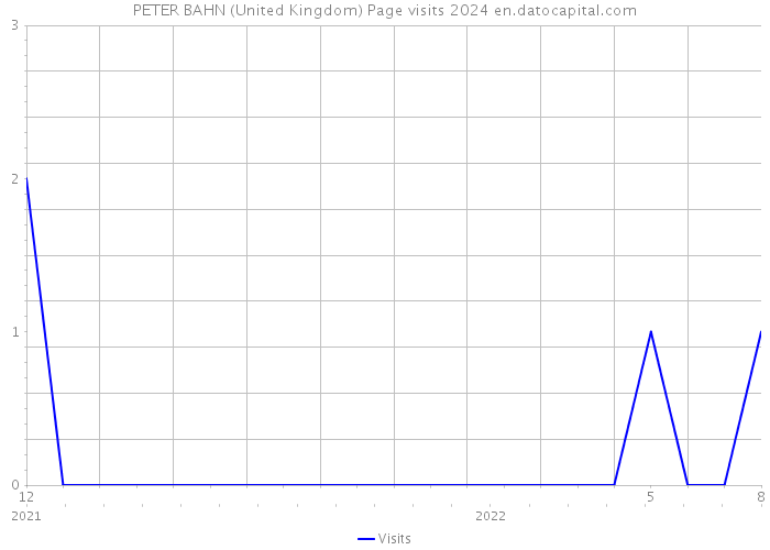 PETER BAHN (United Kingdom) Page visits 2024 