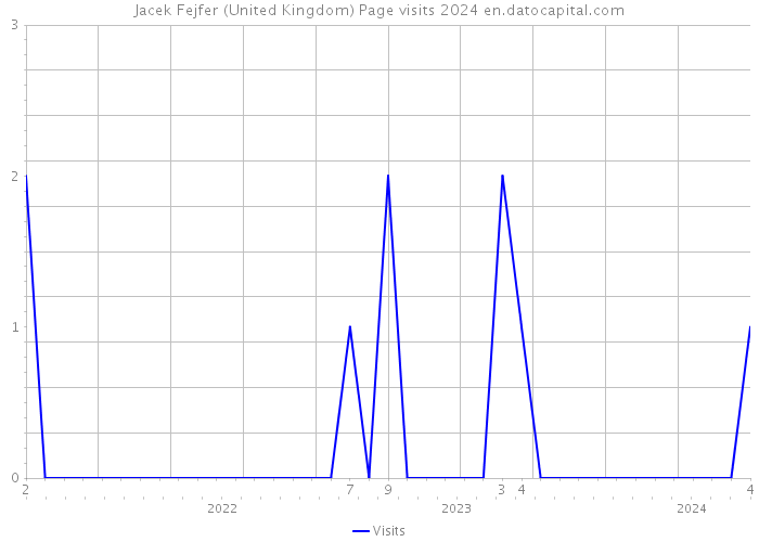 Jacek Fejfer (United Kingdom) Page visits 2024 
