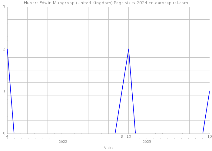 Hubert Edwin Mungroop (United Kingdom) Page visits 2024 
