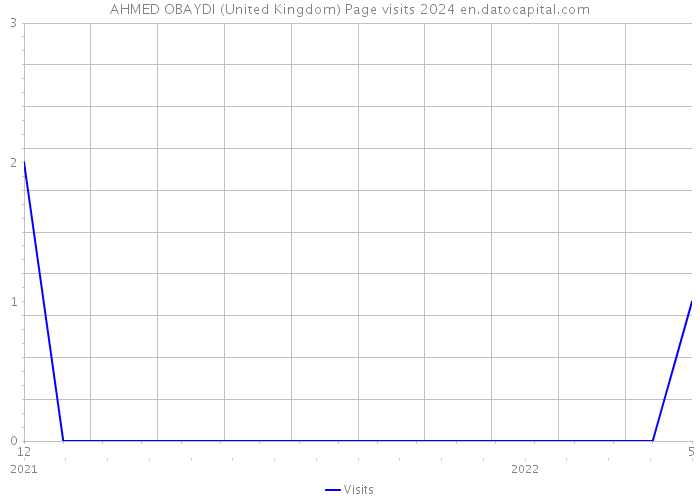 AHMED OBAYDI (United Kingdom) Page visits 2024 