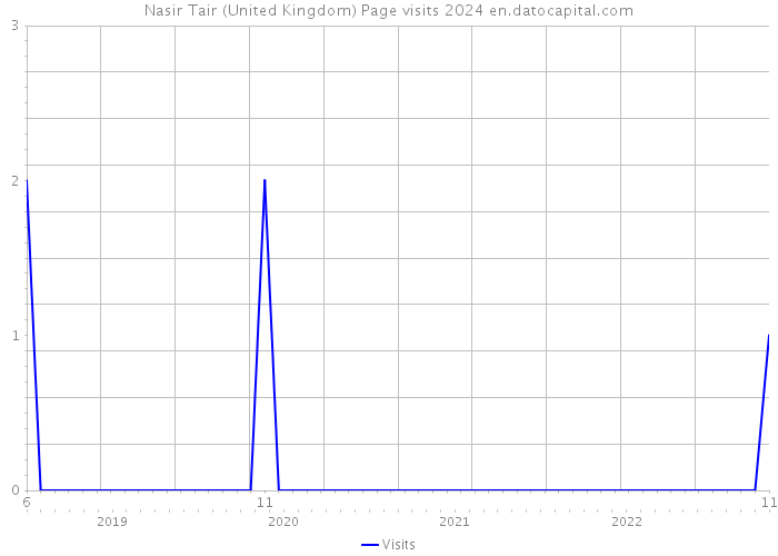 Nasir Tair (United Kingdom) Page visits 2024 