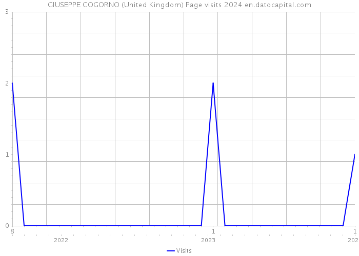GIUSEPPE COGORNO (United Kingdom) Page visits 2024 