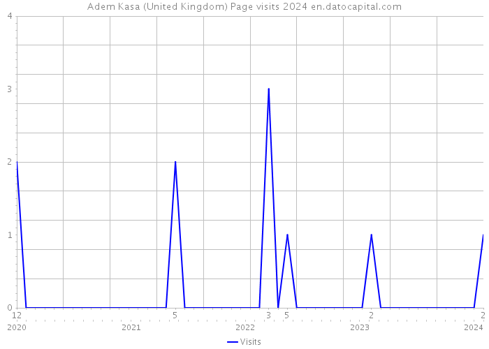 Adem Kasa (United Kingdom) Page visits 2024 