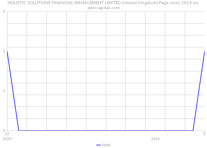 HOLISTIC SOLUTIONS FINANCIAL MANAGEMENT LIMITED (United Kingdom) Page visits 2024 