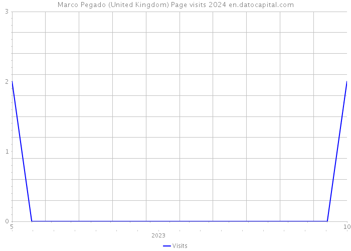 Marco Pegado (United Kingdom) Page visits 2024 