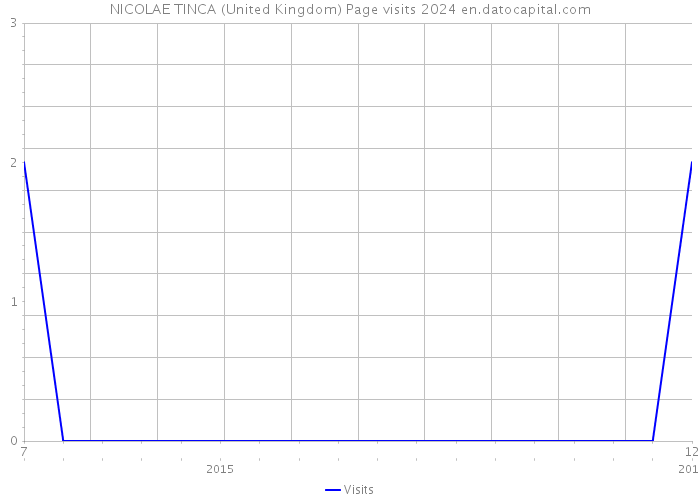 NICOLAE TINCA (United Kingdom) Page visits 2024 