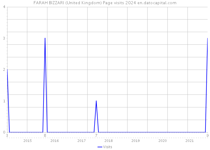 FARAH BIZZARI (United Kingdom) Page visits 2024 