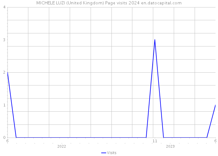 MICHELE LUZI (United Kingdom) Page visits 2024 
