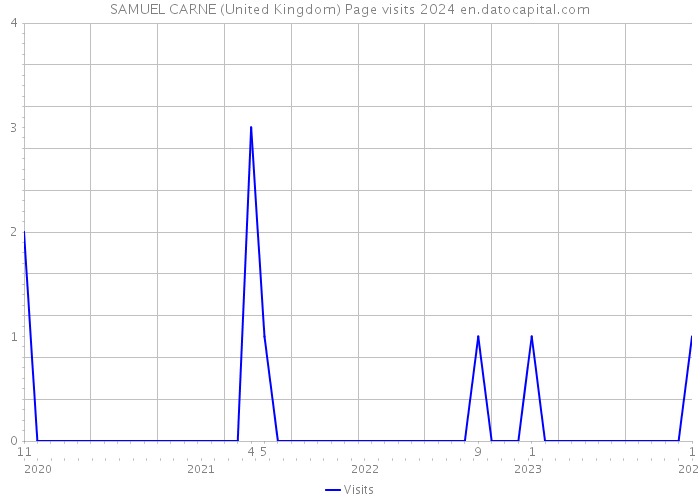 SAMUEL CARNE (United Kingdom) Page visits 2024 