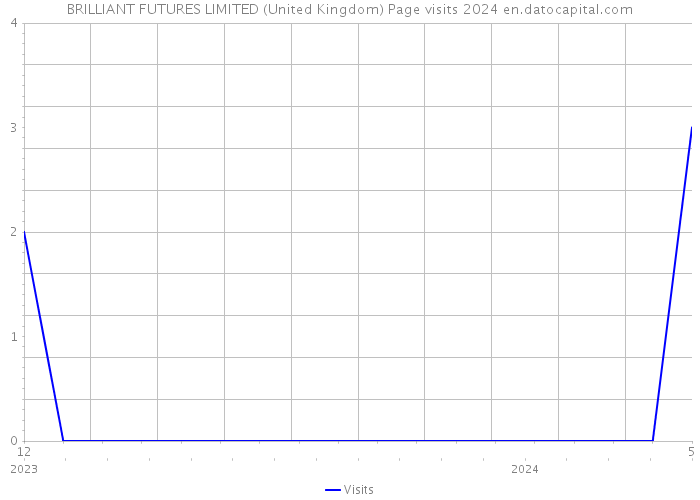 BRILLIANT FUTURES LIMITED (United Kingdom) Page visits 2024 