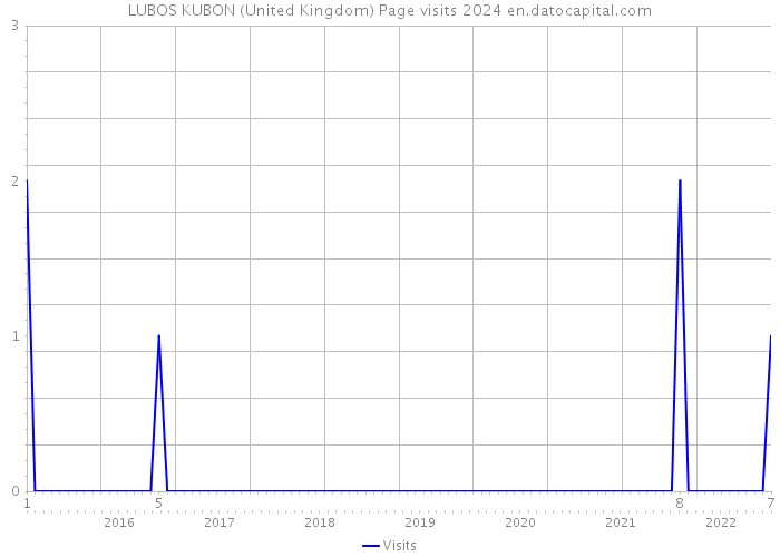 LUBOS KUBON (United Kingdom) Page visits 2024 