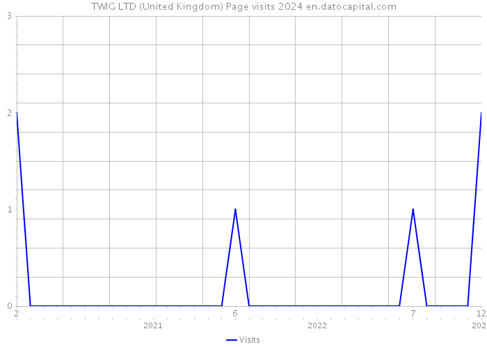 TWIG LTD (United Kingdom) Page visits 2024 