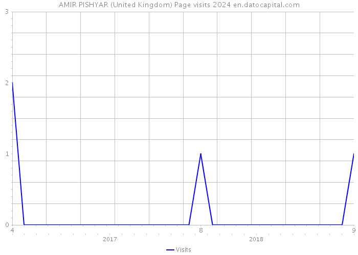 AMIR PISHYAR (United Kingdom) Page visits 2024 