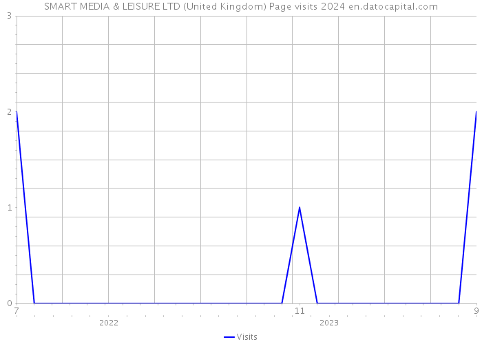 SMART MEDIA & LEISURE LTD (United Kingdom) Page visits 2024 