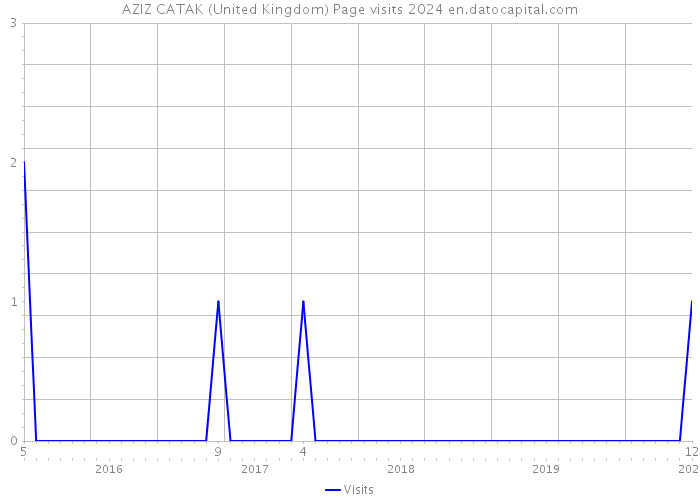 AZIZ CATAK (United Kingdom) Page visits 2024 