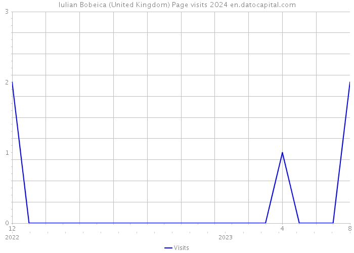 Iulian Bobeica (United Kingdom) Page visits 2024 