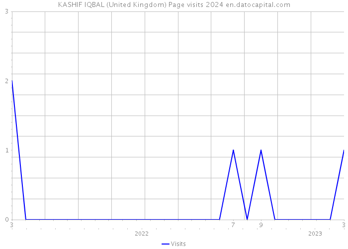 KASHIF IQBAL (United Kingdom) Page visits 2024 
