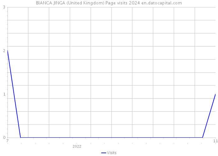 BIANCA JINGA (United Kingdom) Page visits 2024 
