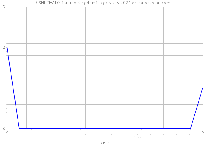 RISHI CHADY (United Kingdom) Page visits 2024 