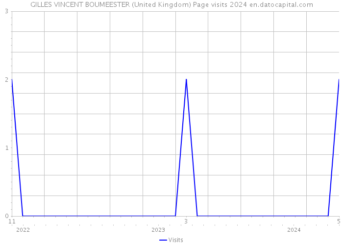 GILLES VINCENT BOUMEESTER (United Kingdom) Page visits 2024 