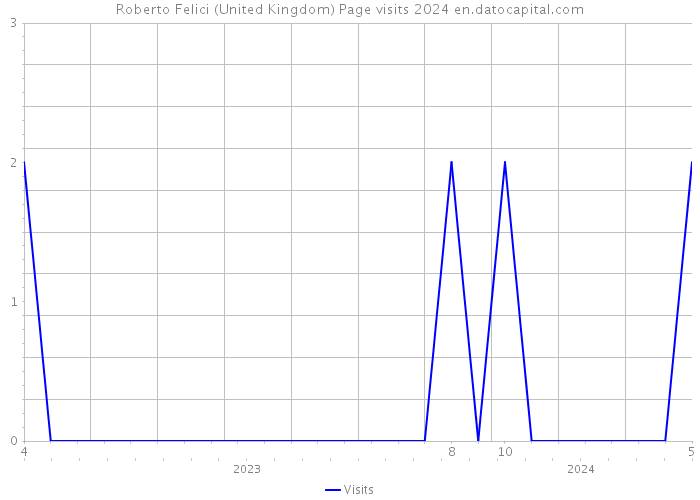 Roberto Felici (United Kingdom) Page visits 2024 