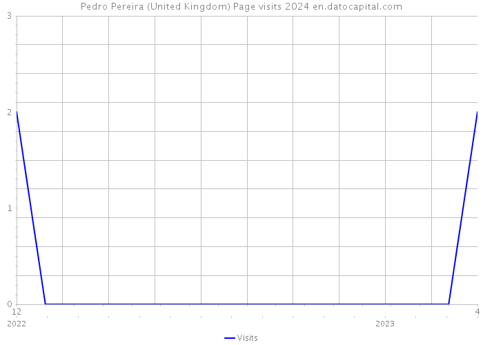 Pedro Pereira (United Kingdom) Page visits 2024 