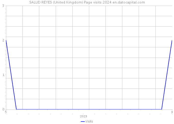 SALUD REYES (United Kingdom) Page visits 2024 