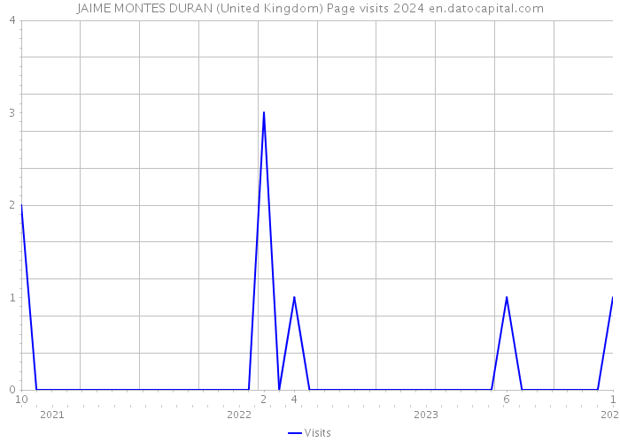 JAIME MONTES DURAN (United Kingdom) Page visits 2024 