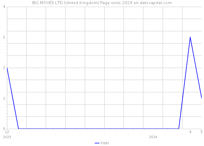 BIG MOVES LTD (United Kingdom) Page visits 2024 